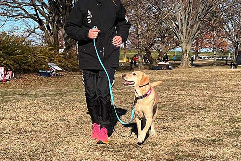 ドッグスクール