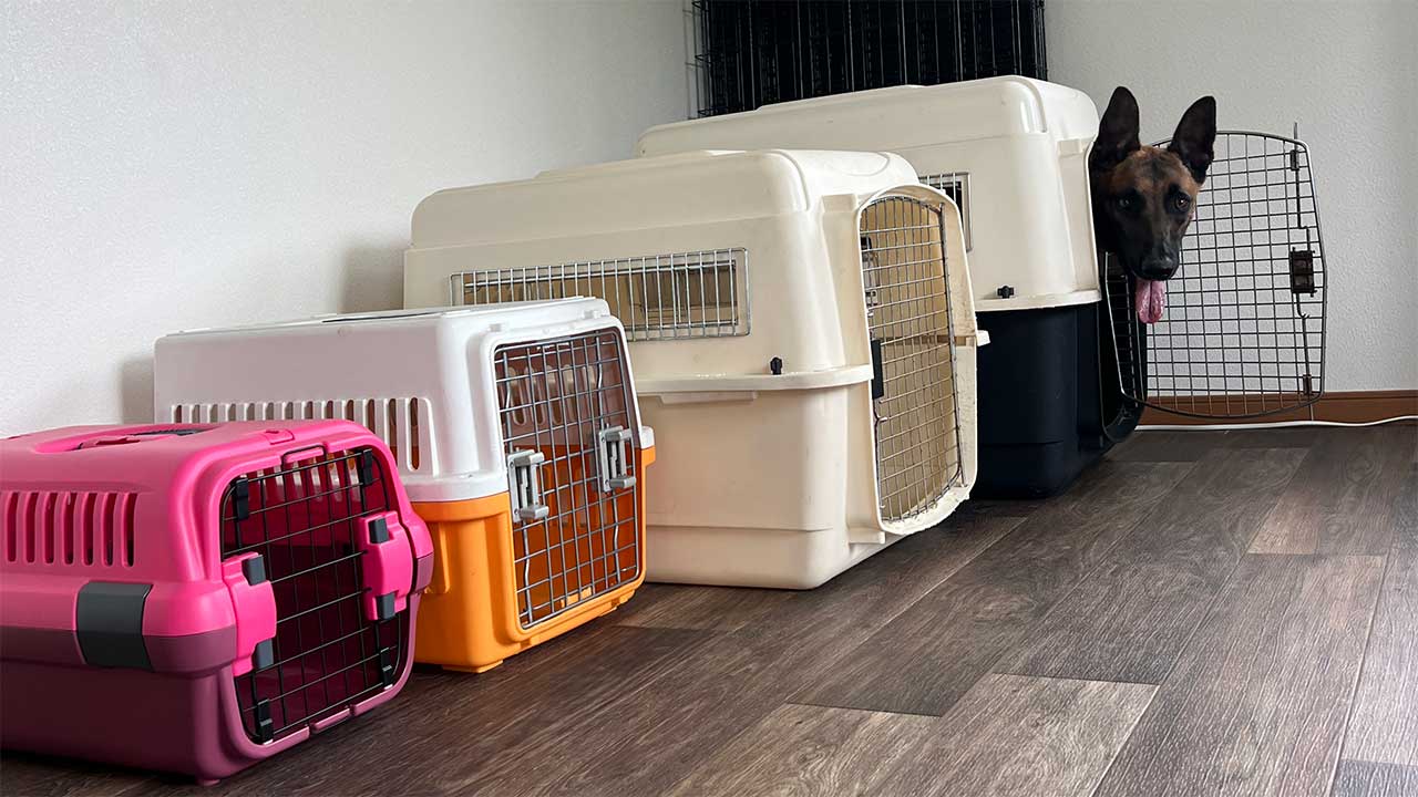 多様なサイズのクレートをご用意